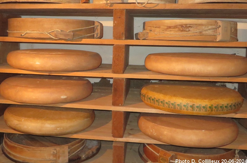 Meules de Comté