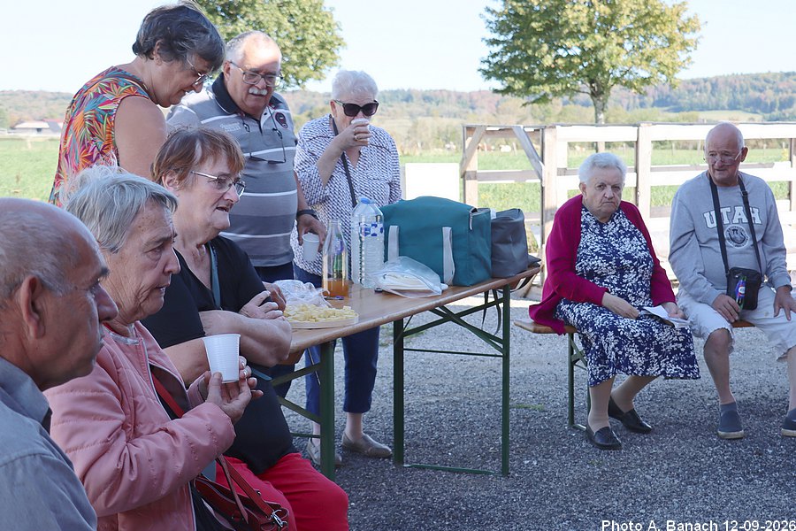 Dégustation
