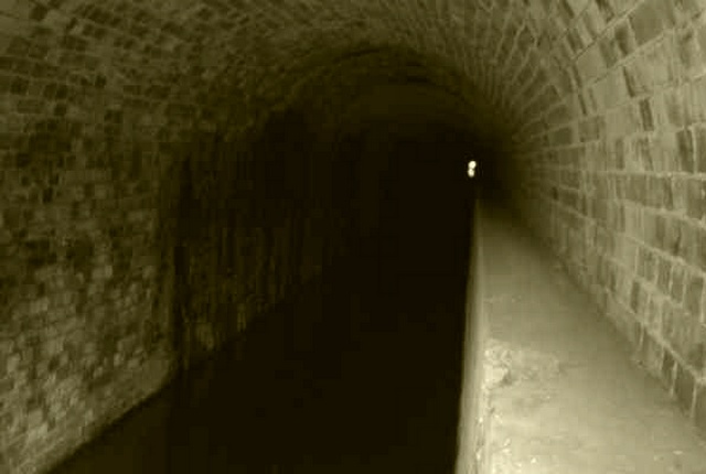 Le tunnel sous la forêt du Chérimont