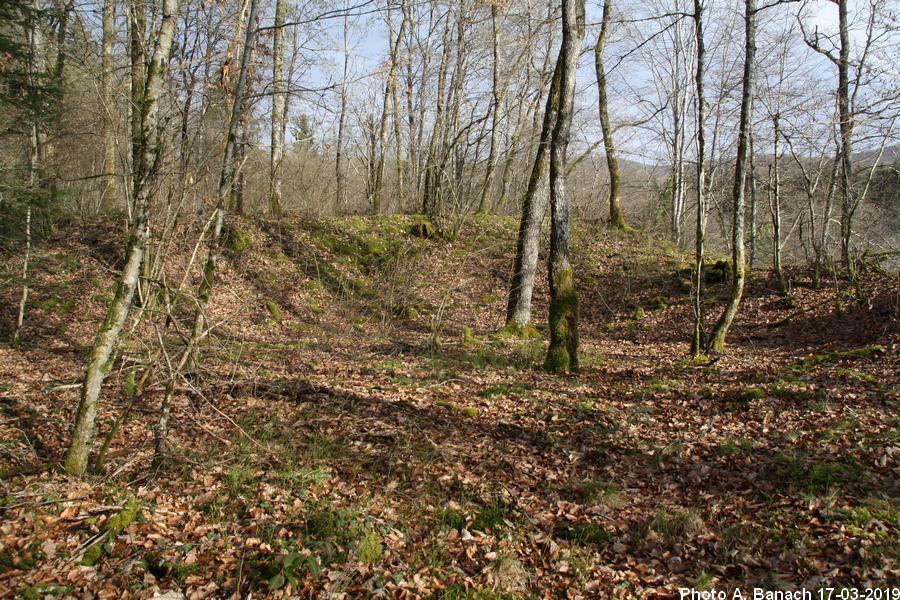 Terril du puits Saint Paul