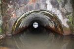 Petit tunnel du Beuveroux