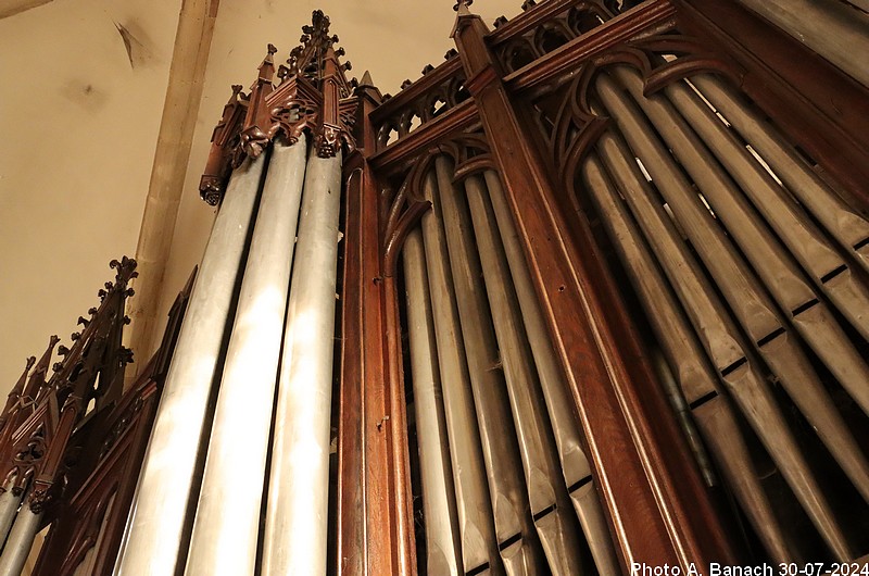 Les tuyaux de l'orgue