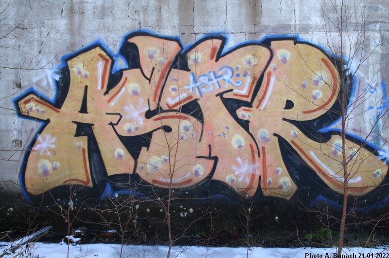 Graffitis et tags