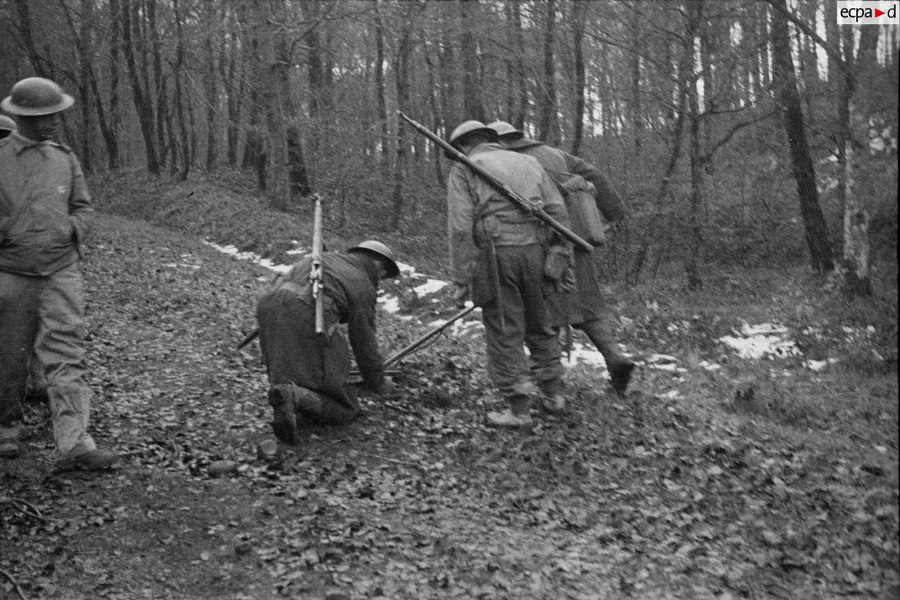 Des démineurs