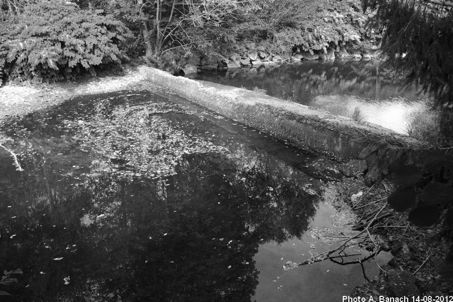 Epis en béton