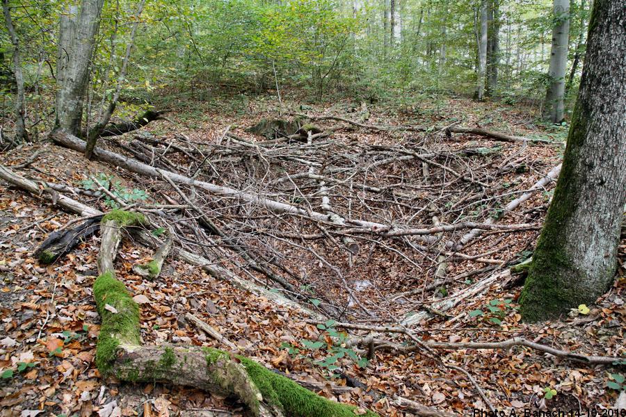 Emplacement abri