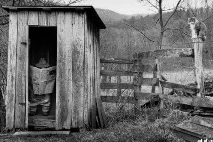 Cabane au fond du jardin