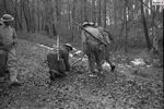 Recherche de mines