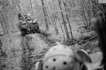 Un char dans la forêt