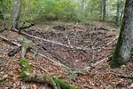 Emplacement abris