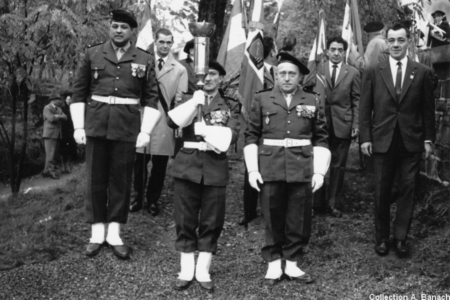 Des ancien combattants